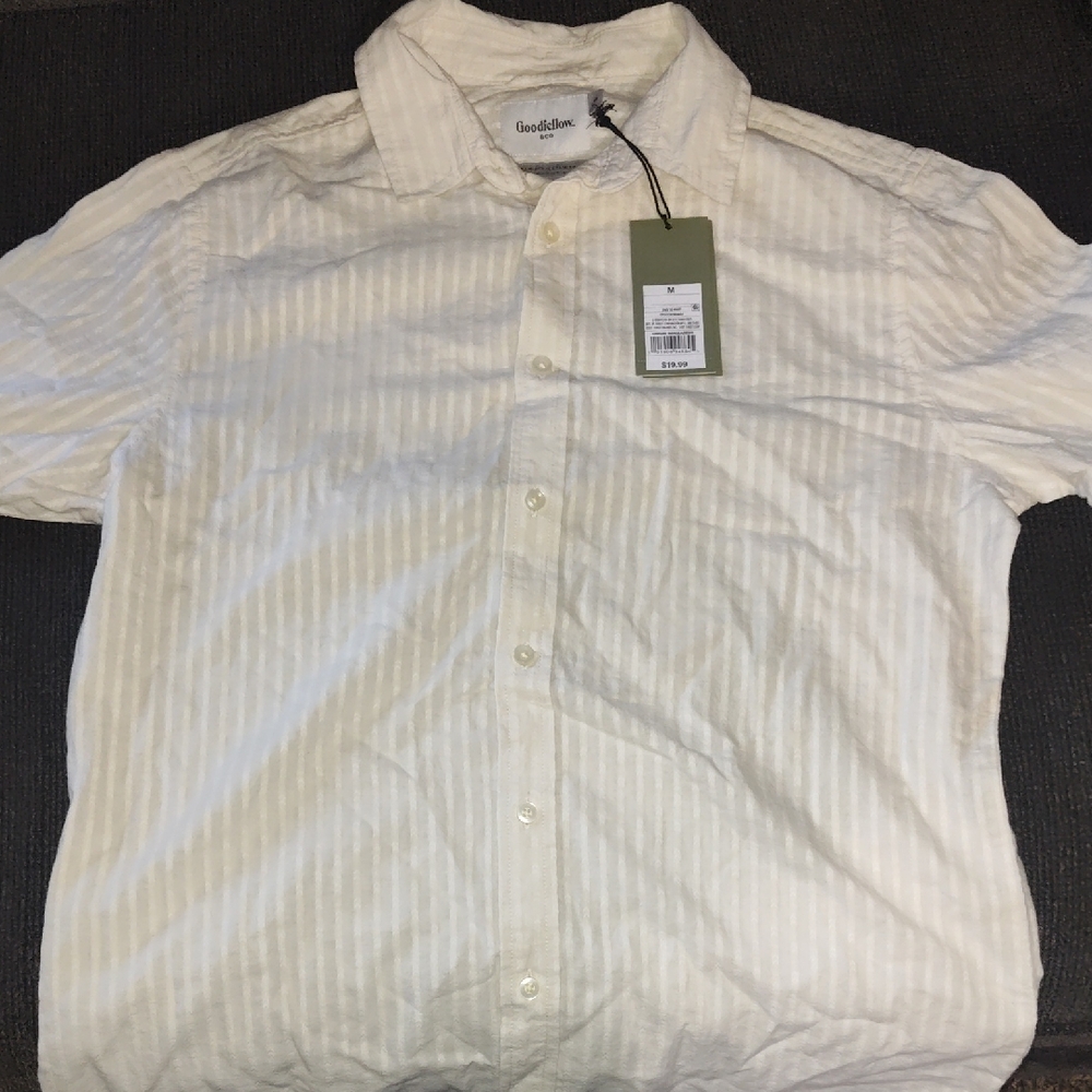 Goodfellow & Co Men's Striped Cream Button Down Shirt